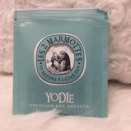 Le 38 Authentique&chaleureux Cauterets